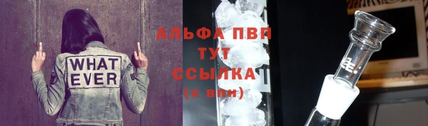 2c-b Иннополис